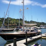 Herry's Yachr Isabel
