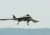 Obama gave Iran a top secret US Drone