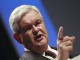 Gingrich Amnesty Plan