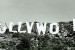 Hollywood Hollywood