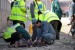 Obama Victory Lap Leaves 7 Dead, 17 Wounded, Including Children